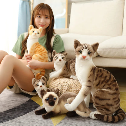 Stuffed Lifelike Siamese Cats Plush Toy simulation American Shorthair Cute Cat Doll Pet Toys Home Decor Gift For Girls birthday