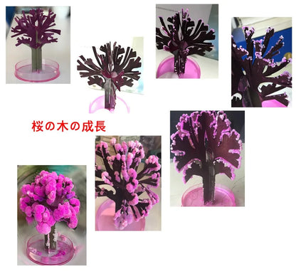 2022 14cm Visual Magic Artificial Sakura Trees Decorative Grow DIY Paper Tree Toys Flower Desktop Cherry Blossom Novelties Funny