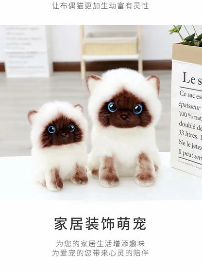 Stuffed Lifelike Siamese Cats Plush Toy simulation American Shorthair Cute Cat Doll Pet Toys Home Decor Gift For Girls birthday