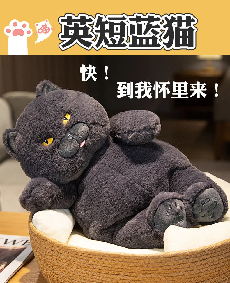 Fat Cat Plush Stuffed Animals Toy Lifelike Black Cat Toy for Boys and Girls Xmas Birthday Gift