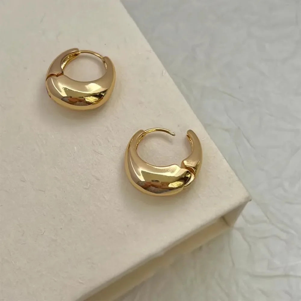 925 Sterling Silver Smooth Gold Round Chunky Hoop Earrings for Women Round Circle Earrings Jewelry Prevent Allergy Party Gift